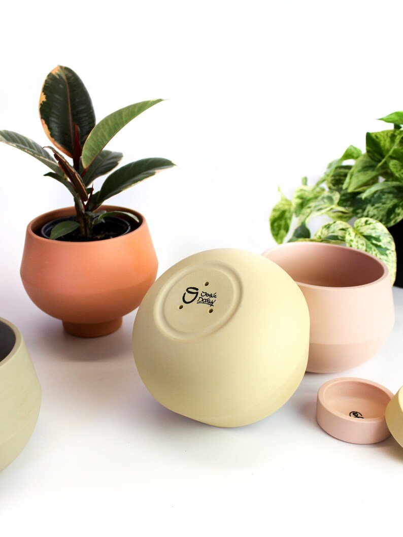Pot Ingie Terre Cuite / Petit (Plante De 4 Po.)