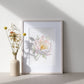 Illustration Pivoine