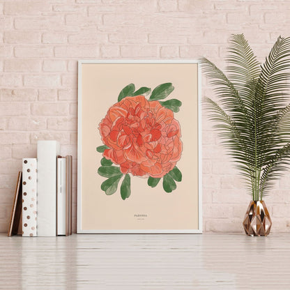 Illustration Pivoine
