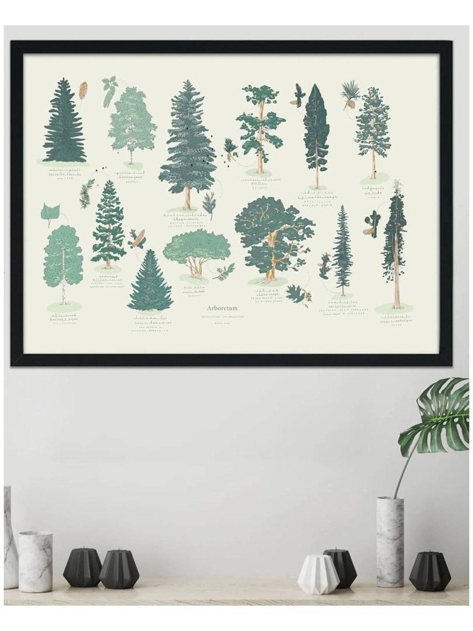 Affiche Arboretum - Alma Plantes