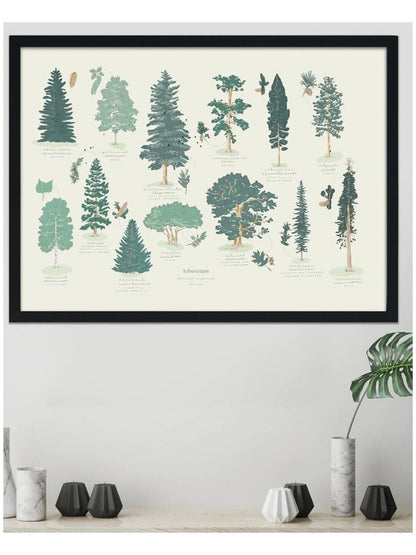 Affiche Arboretum - Alma Plantes