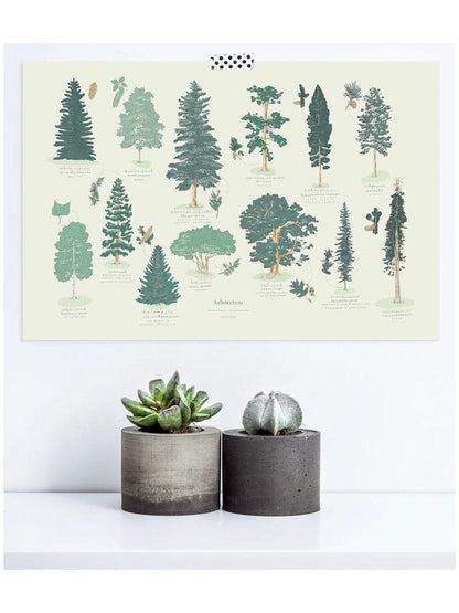 Affiche Arboretum - Alma Plantes