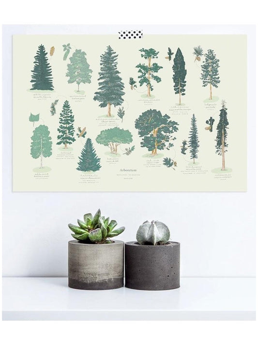Affiche Arboretum - Alma Plantes