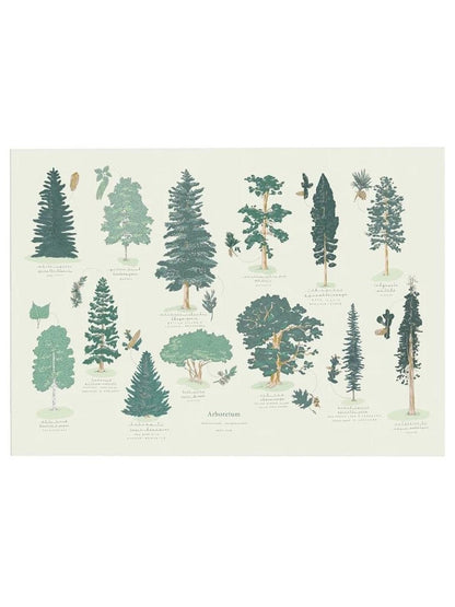 Affiche Arboretum - Alma Plantes