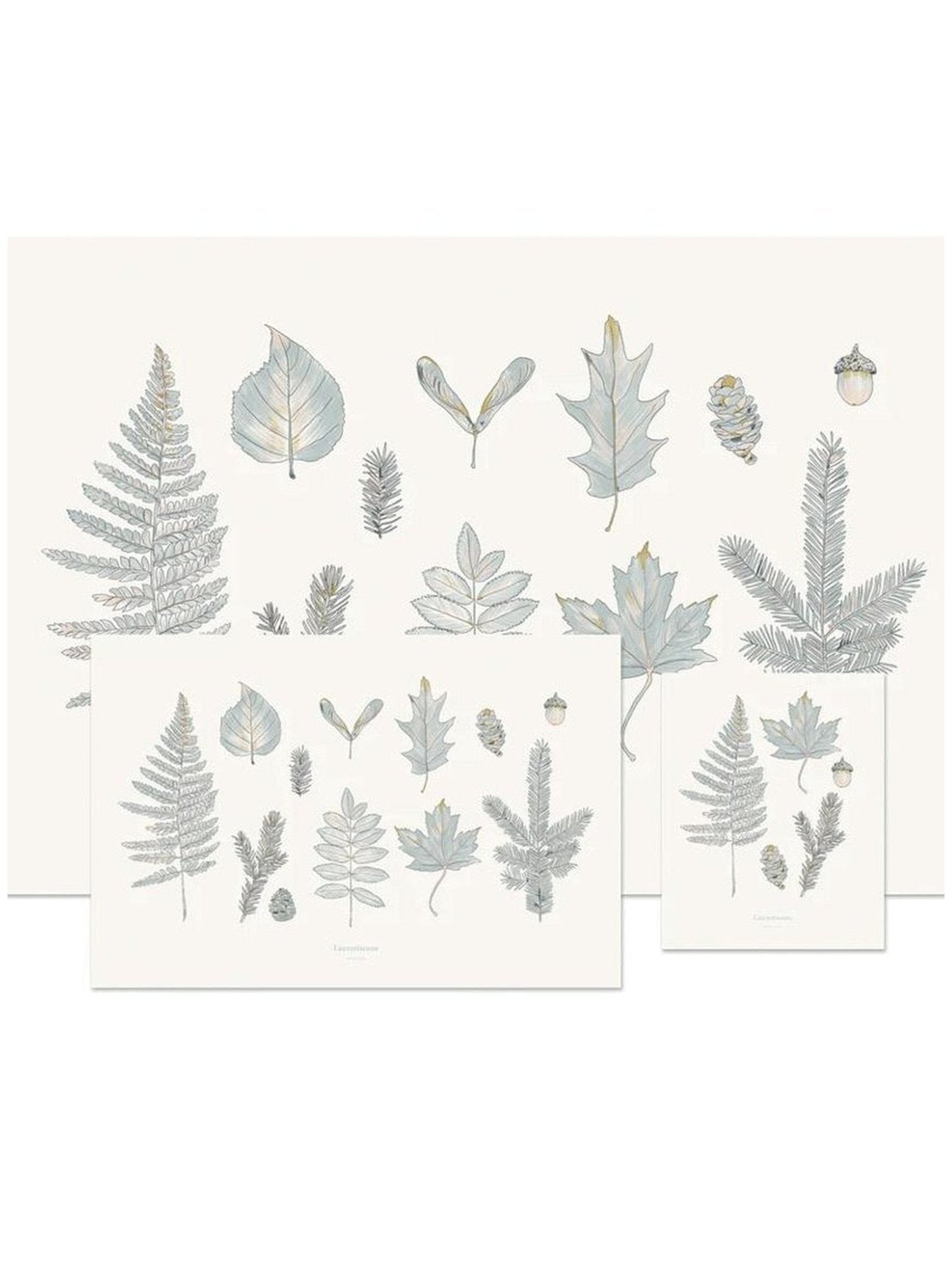 Affiche forêt Laurentienne - Alma Plantes