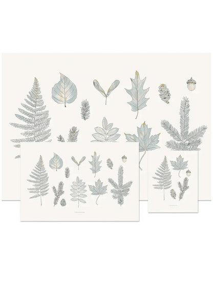 Affiche forêt Laurentienne - Alma Plantes