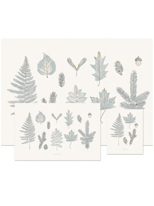 Affiche forêt Laurentienne - Alma Plantes