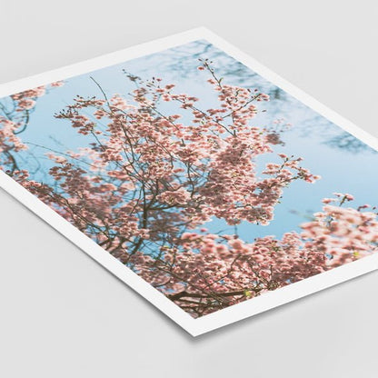 Affiche - Ode à la Douceur no.2 - Alma Plantes