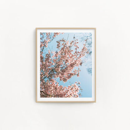 Affiche - Ode à la Douceur no.2 - Alma Plantes