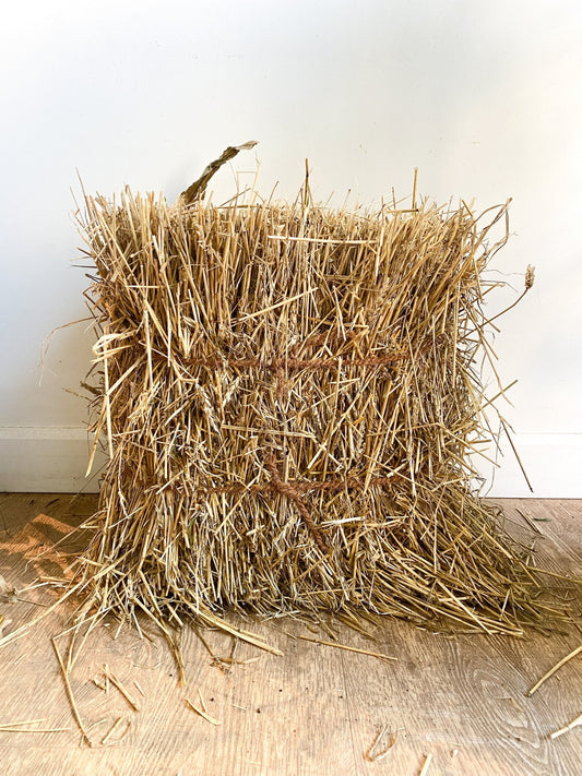 Balle de paille - Alma Plantes