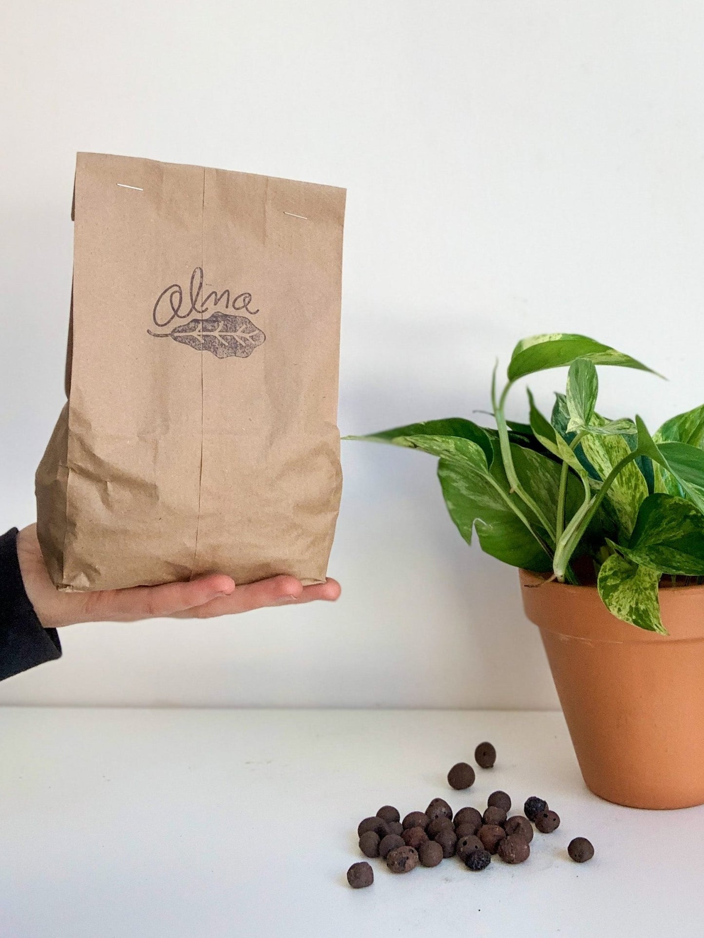 Billes d’argile en vrac - Alma Plantes