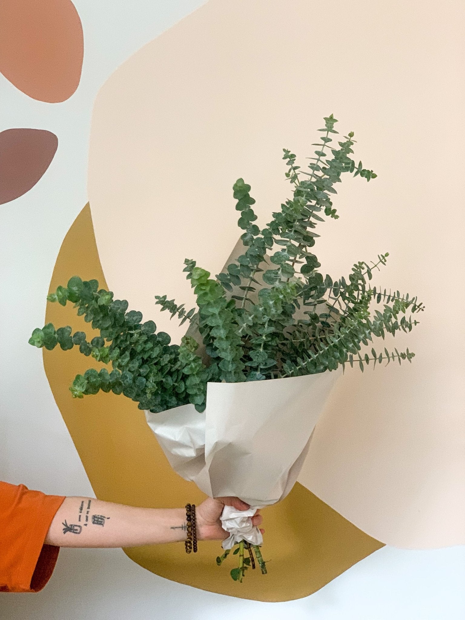 Bouquet d'eucalyptus babyblue - Alma Plantes