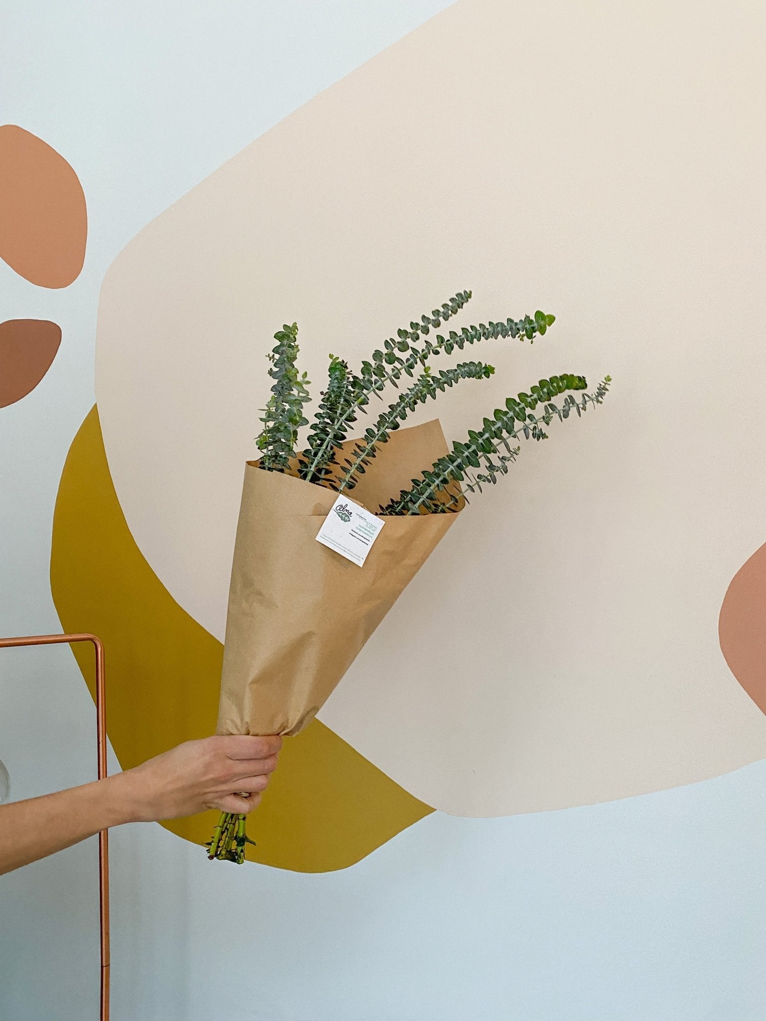 Bouquet d'eucalyptus babyblue - Alma Plantes