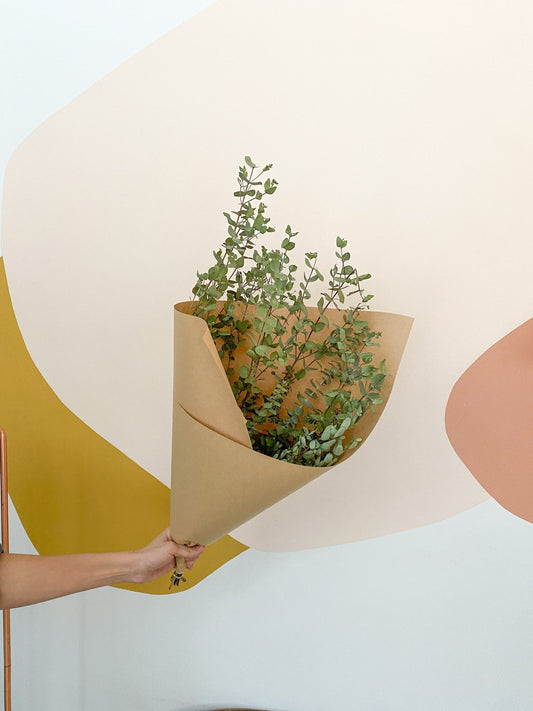 Bouquet d'eucalyptus séché - Alma Plantes