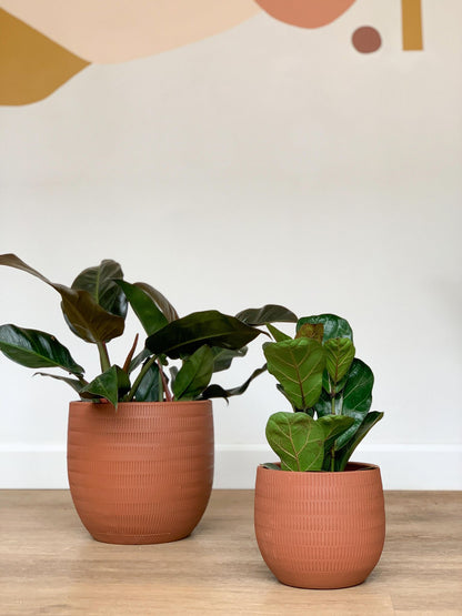 Cache - pot Aura - Alma Plantes