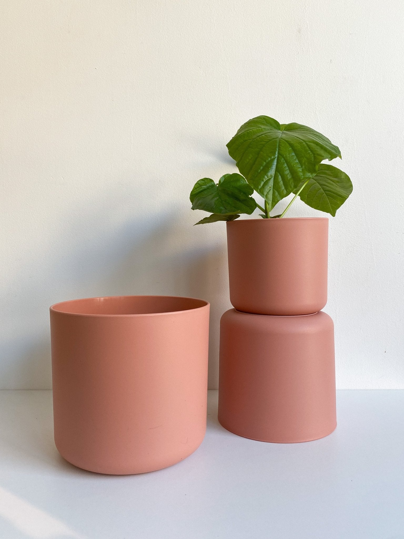 Cache pot Cylindre - Rose - Alma Plantes