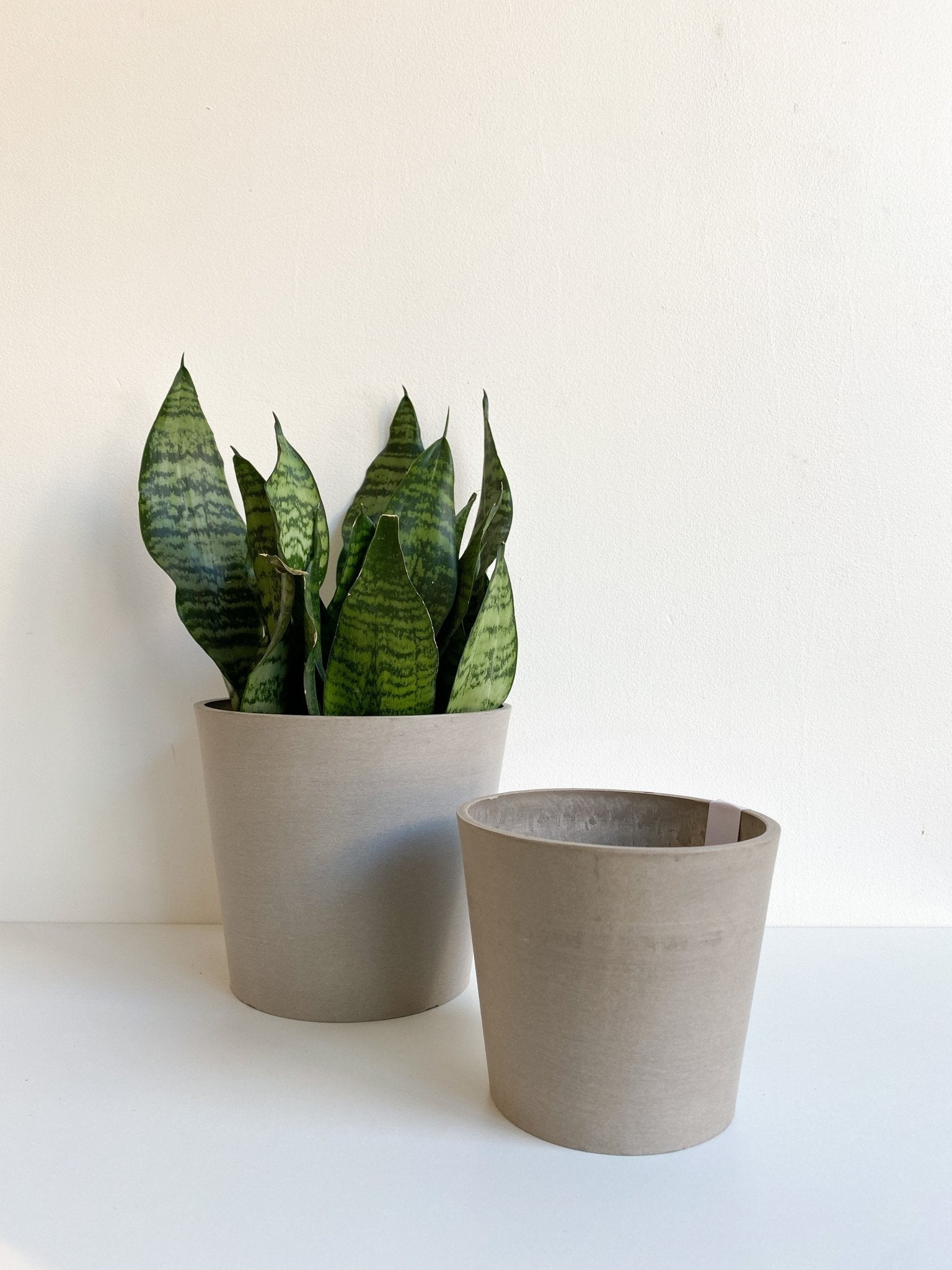 Cache pot fuselé - taupe - Alma Plantes