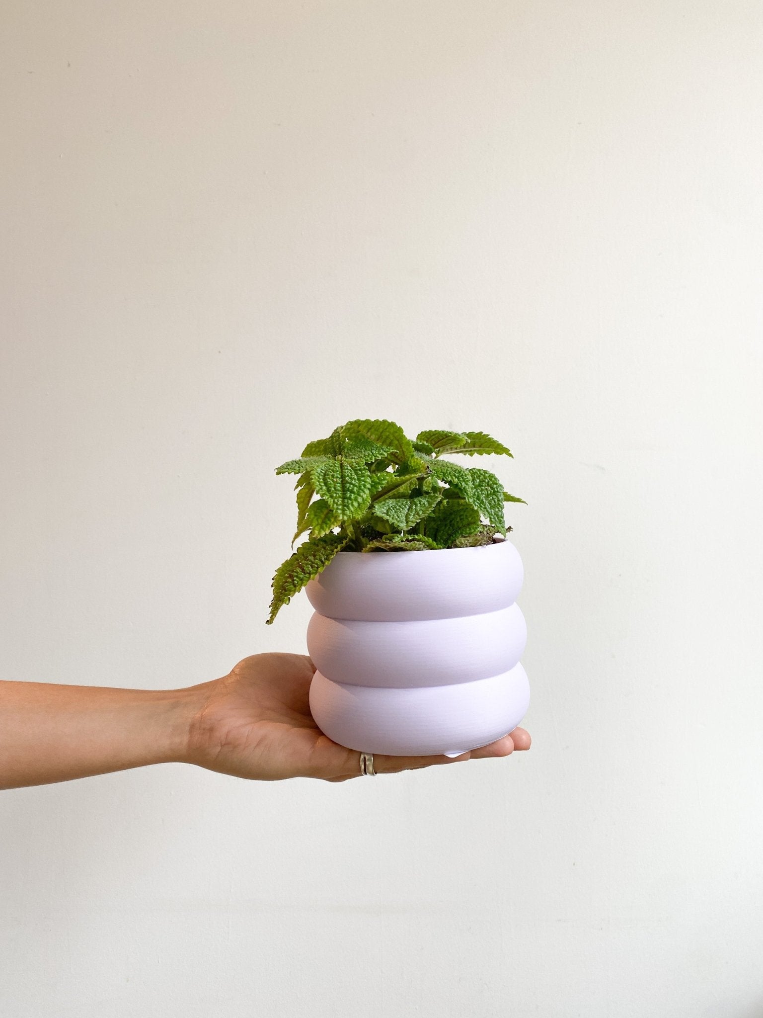 Cache pot 'Le Bubbly' - Alma Plantes