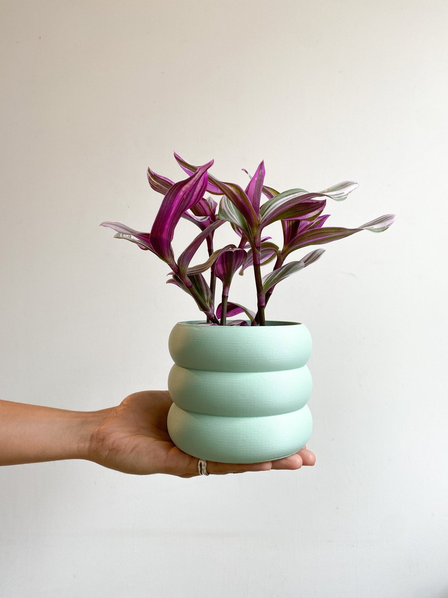 Cache pot 'Le Bubbly' - Alma Plantes