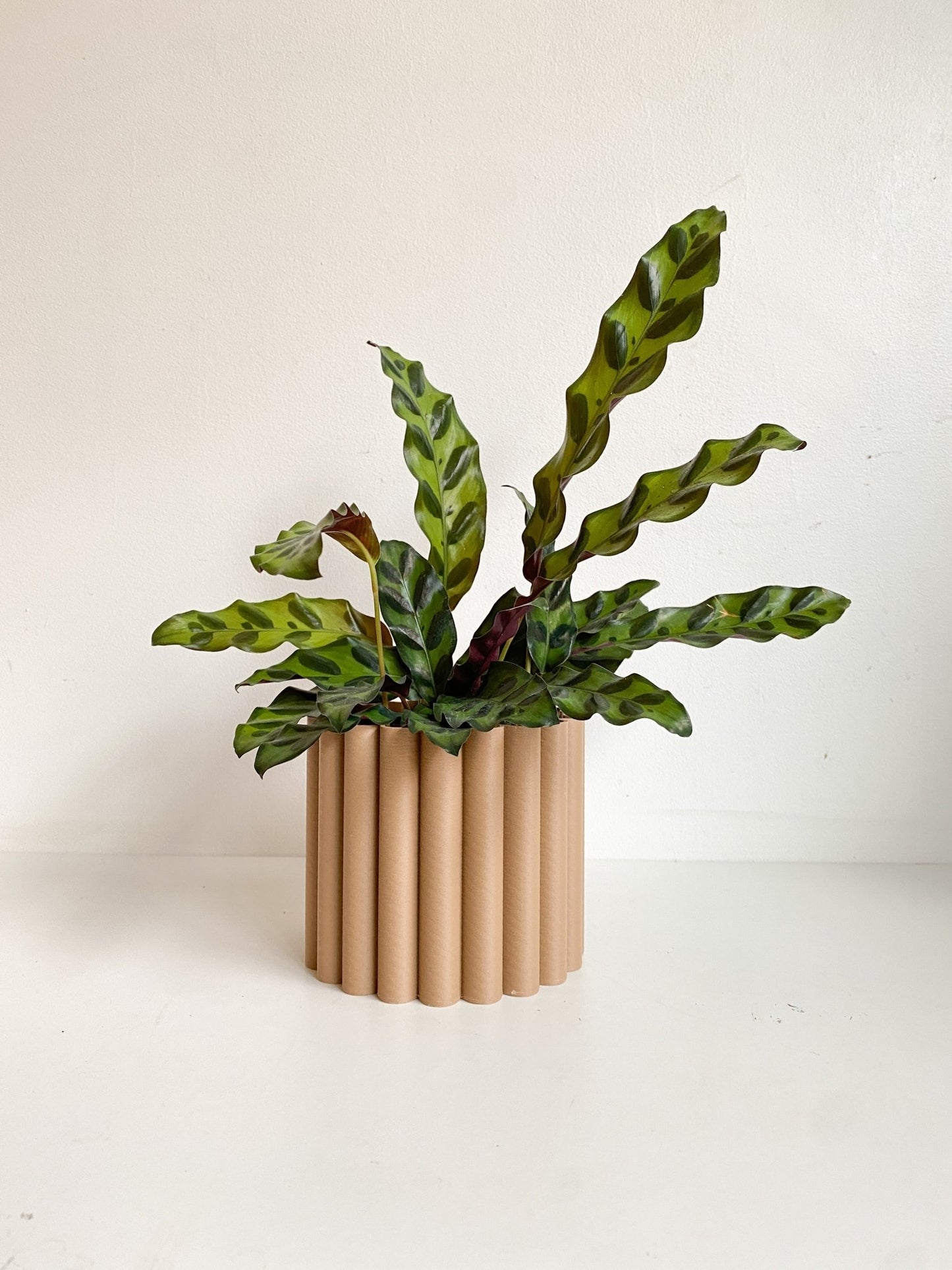 Cache pot 'Le Fleuri' - Alma Plantes