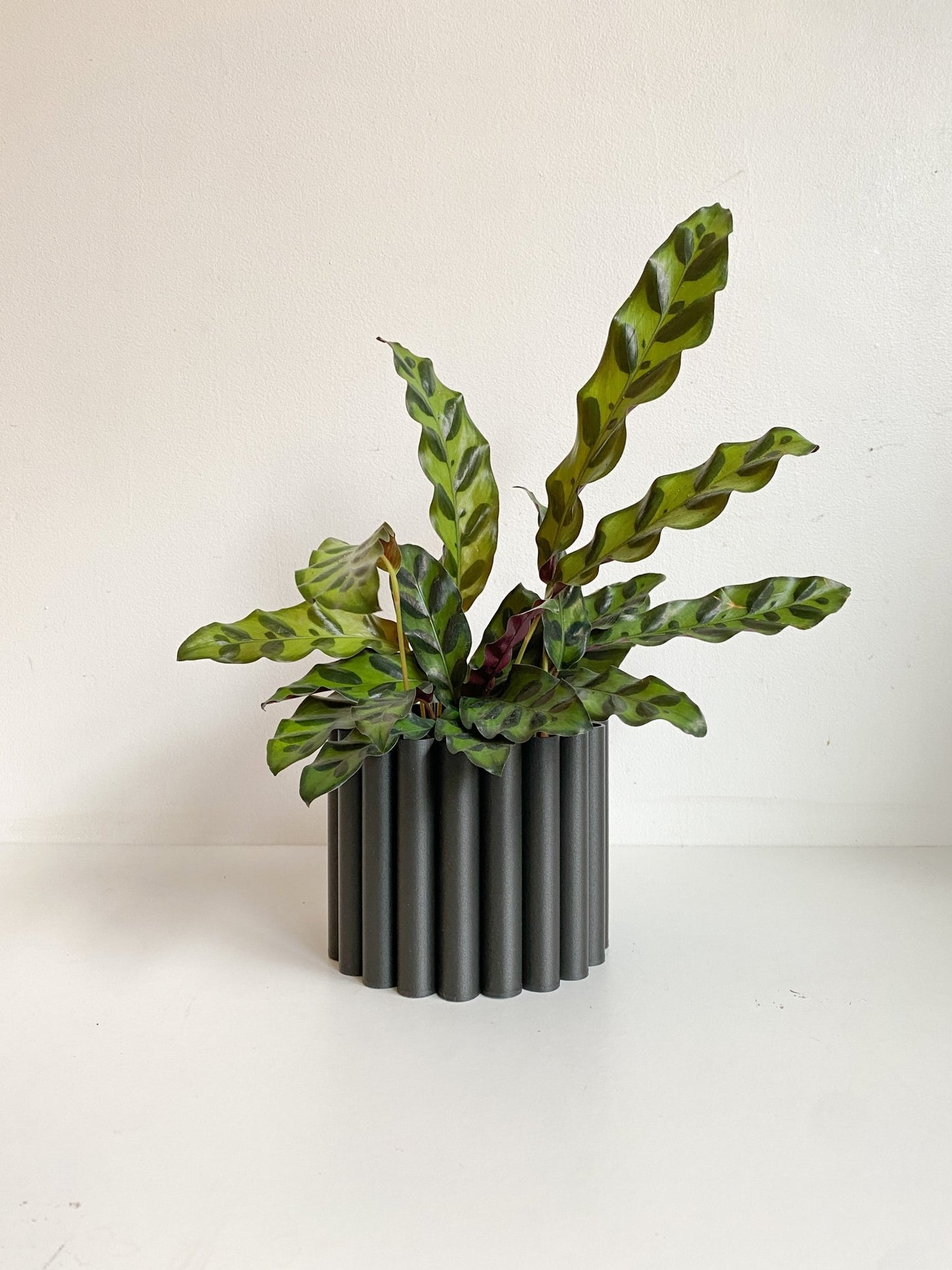 Cache pot 'Le Fleuri' - Alma Plantes