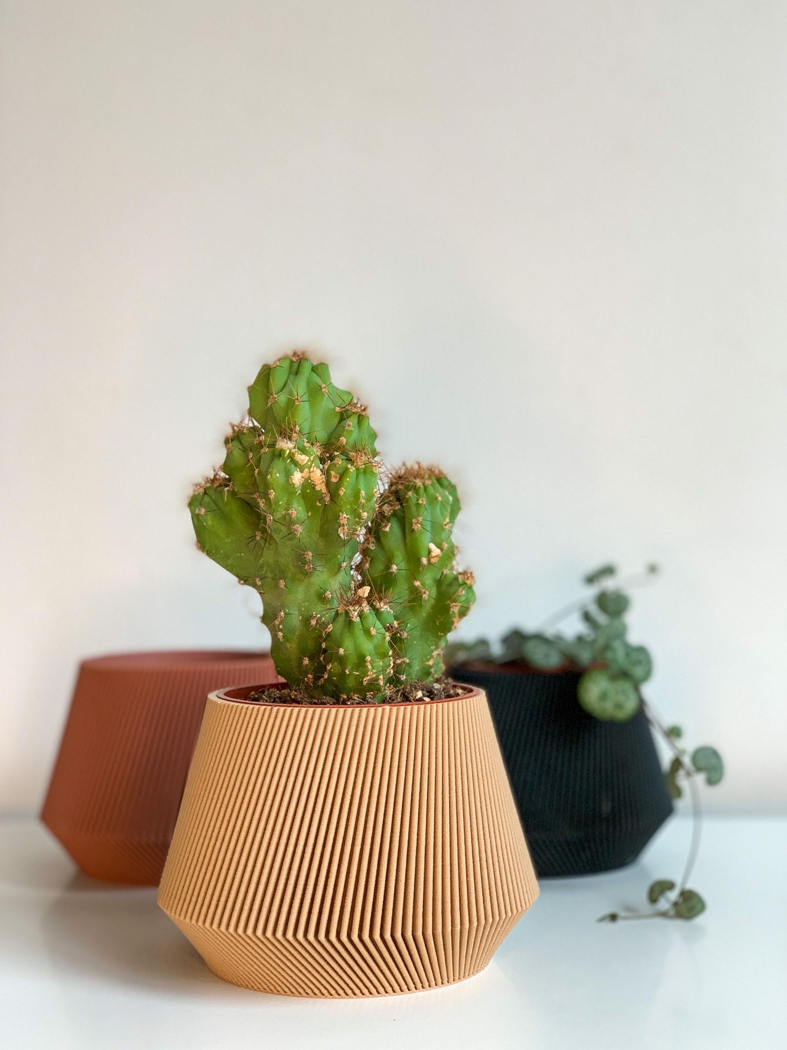 Cache pot 'Le Joli' - Alma Plantes