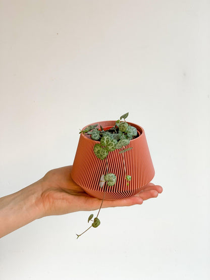 Cache pot 'Le Joli' - Alma Plantes