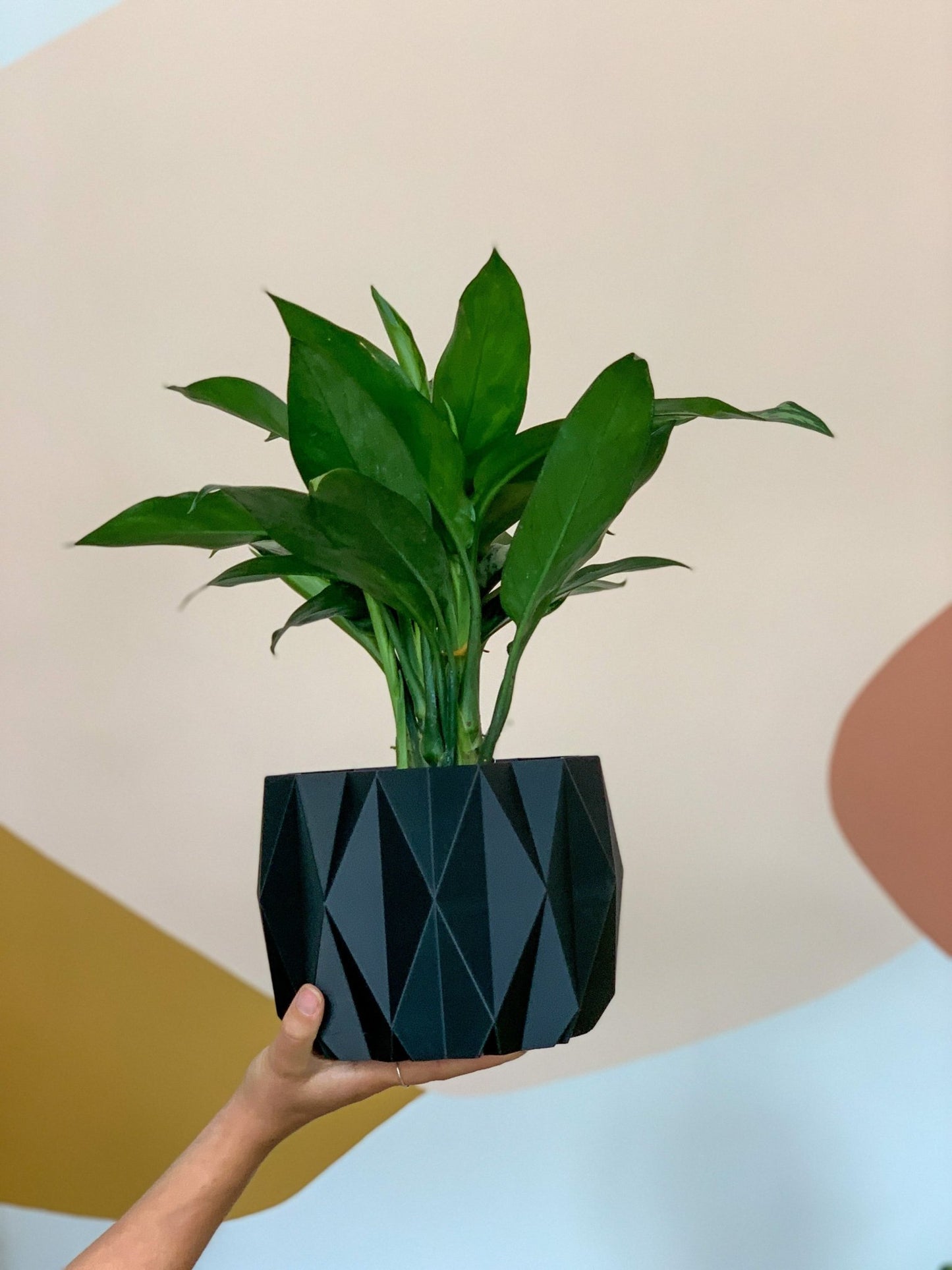 Cache pot 'Le Stylé' - Alma Plantes