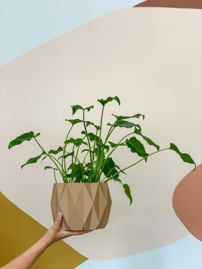 Cache pot 'Le Stylé' - Alma Plantes