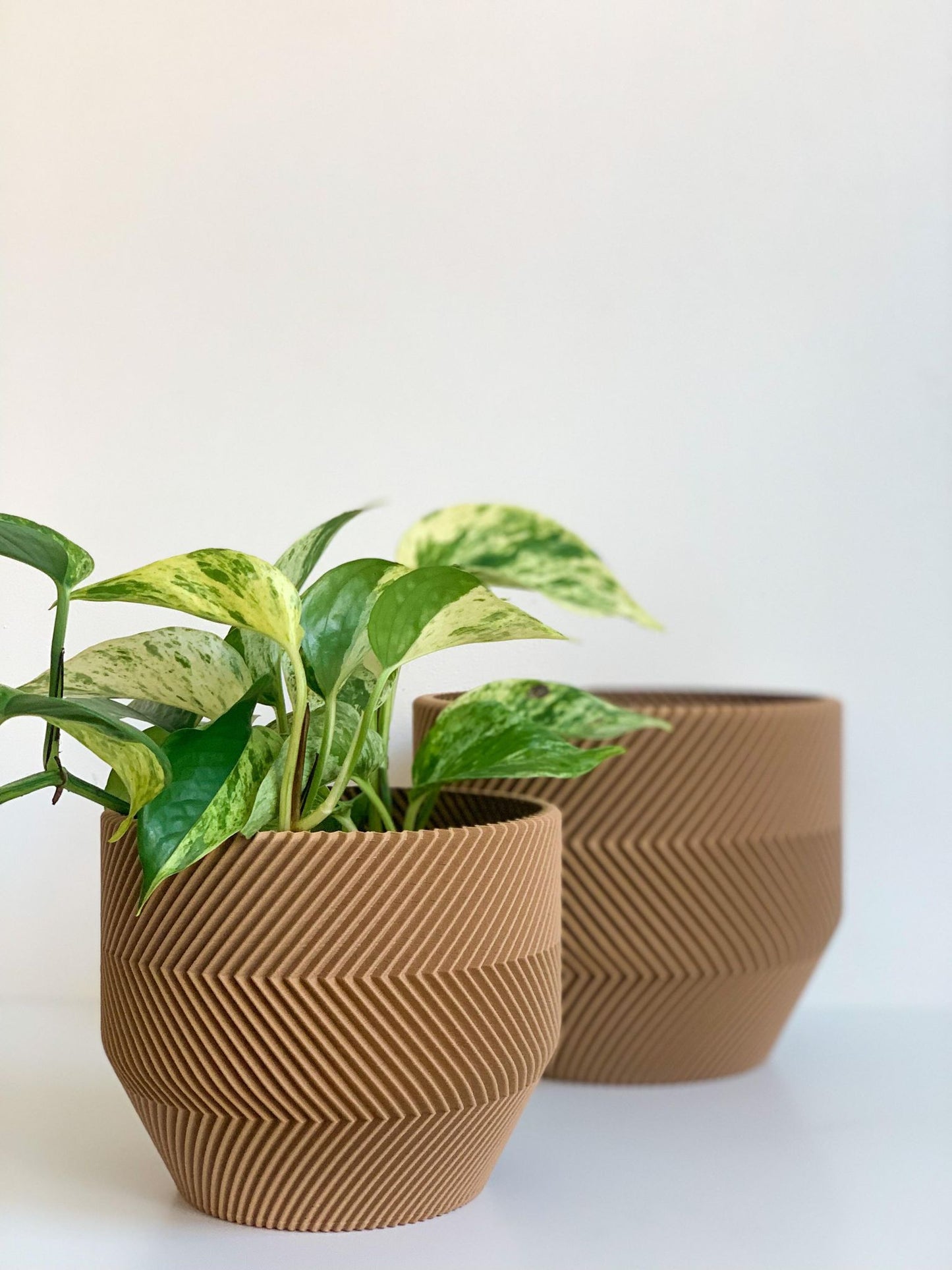 Cache pot 'Le Zébré' - Alma Plantes