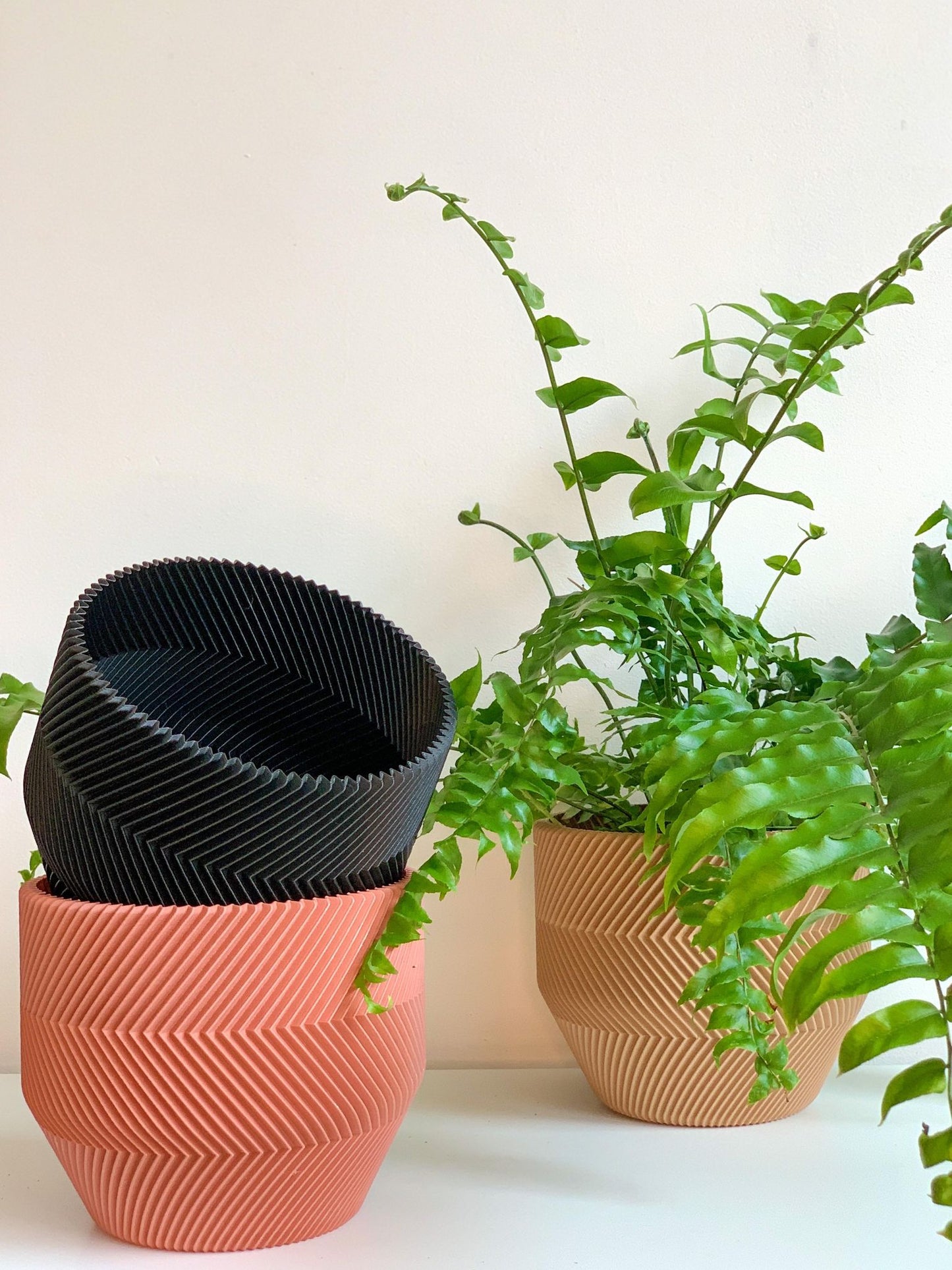 Cache pot 'Le Zébré' - Alma Plantes