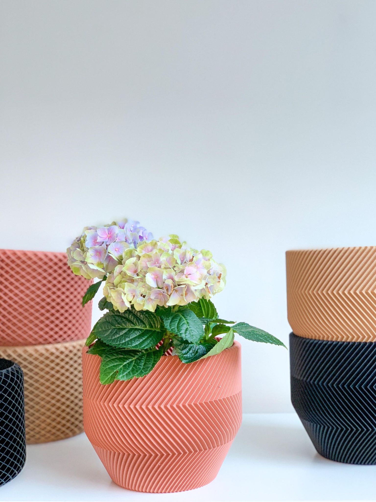 Cache pot 'Le Zébré' - Alma Plantes