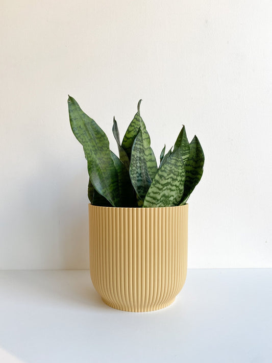 Cache pot texturé - jaune - Alma Plantes