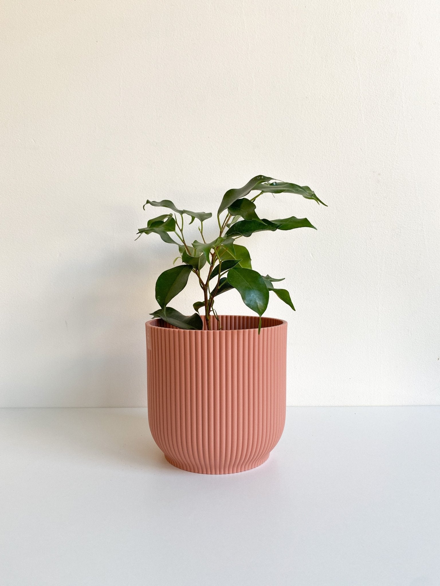 Cache pot texturé - rose - Alma Plantes