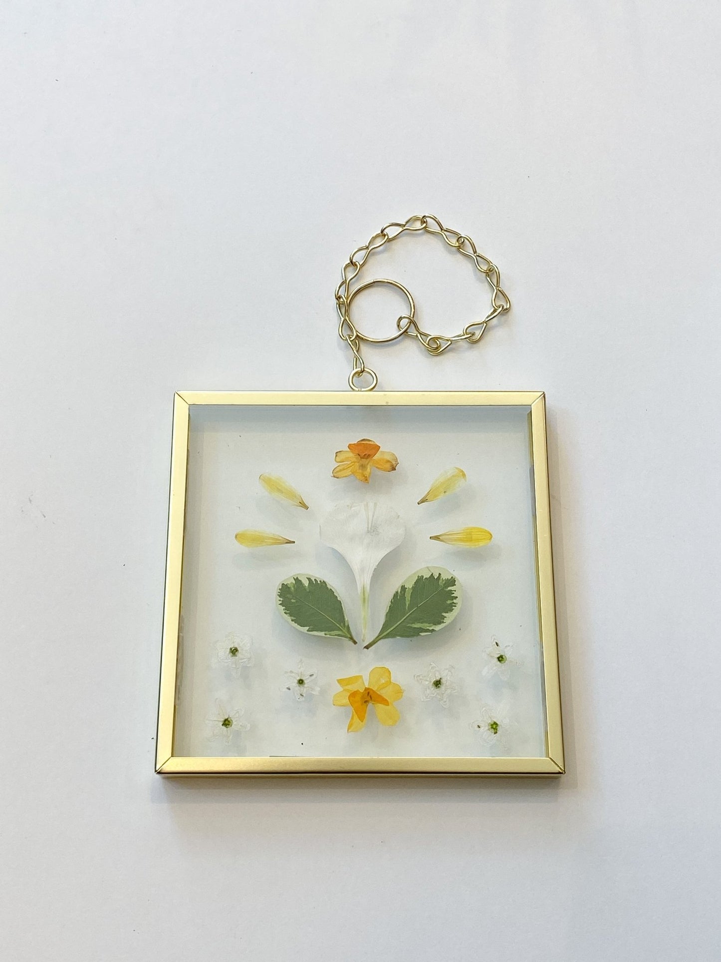 Cadre de fleurs séchées - no. 4 - Alma Plantes