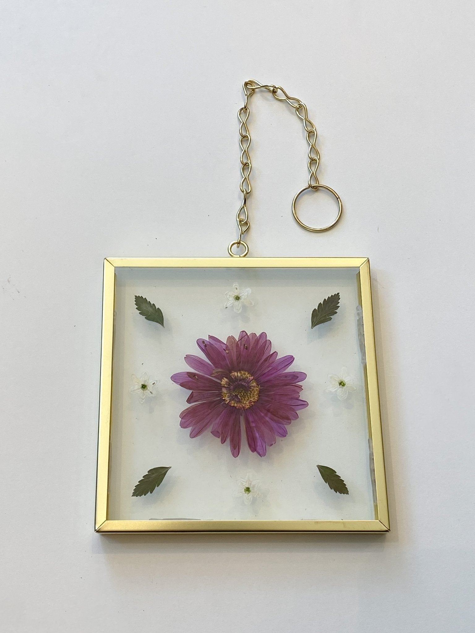 Cadre de fleurs séchées - no. 5 - Alma Plantes