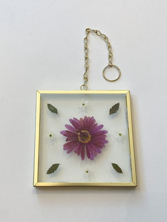 Cadre de fleurs séchées - no. 5 - Alma Plantes