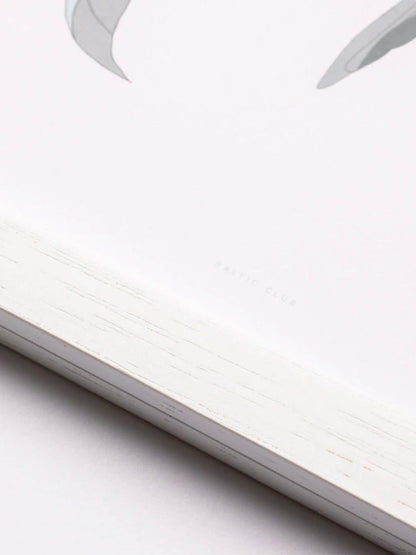 Cadre Magnétique blanc - Alma Plantes