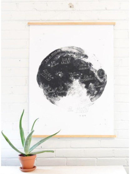 Cadre Magnétique en érable - Alma Plantes