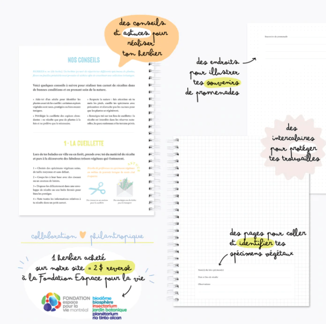 Cahier - herbier - Alma Plantes