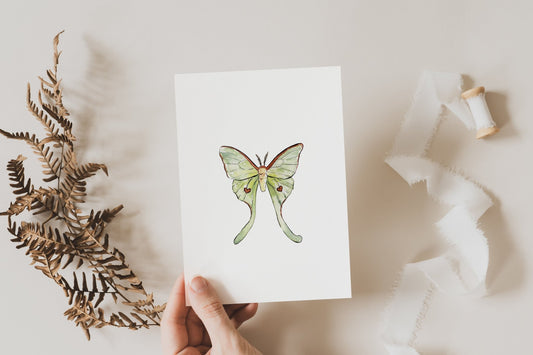Carte de souhaits - Papillon lune - Alma Plantes