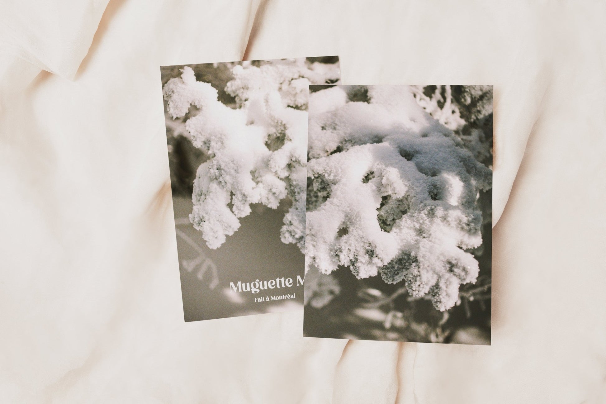 Cartes de souhaits hivernales - Alma Plantes
