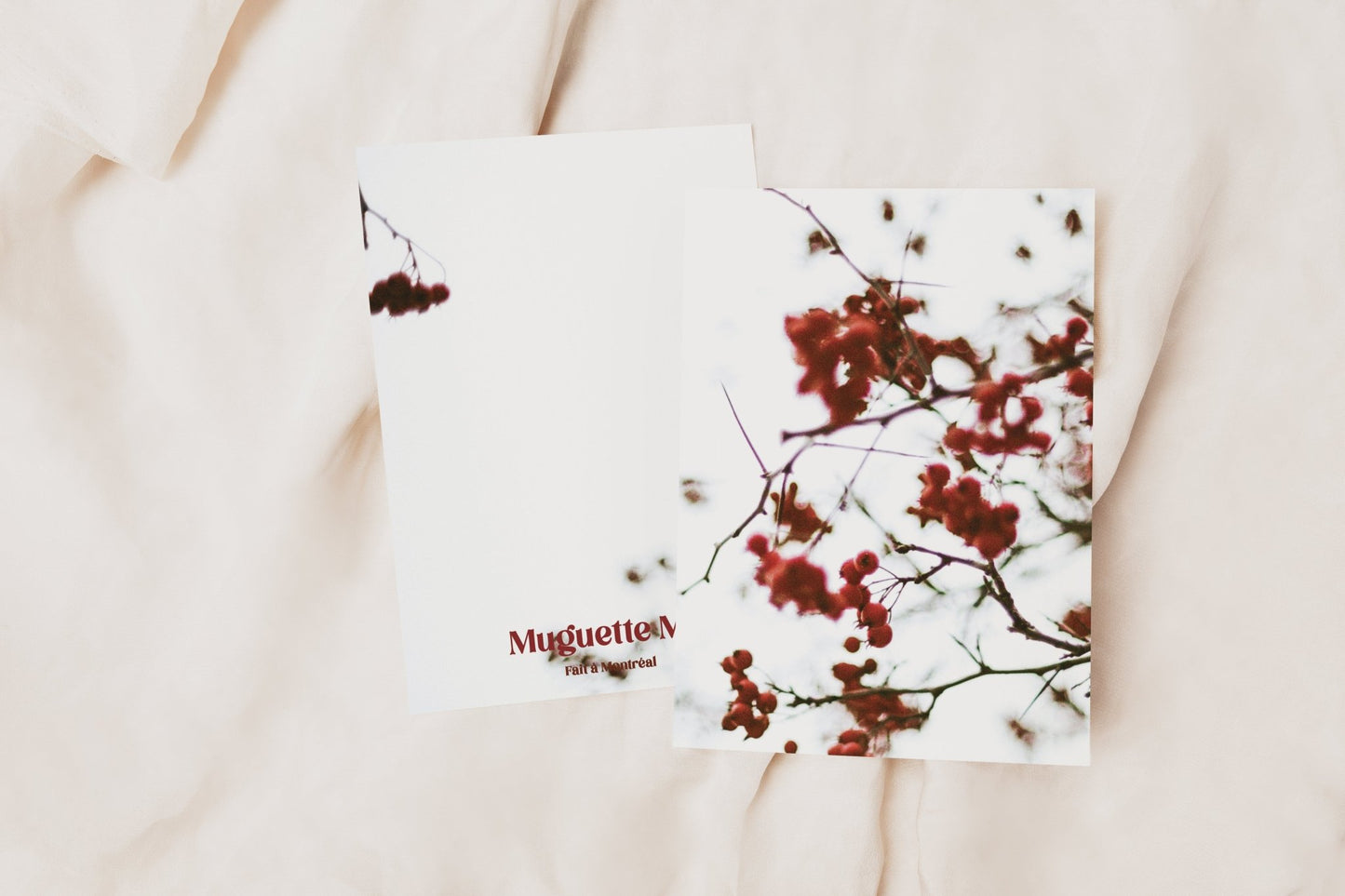 Cartes de souhaits hivernales - Alma Plantes