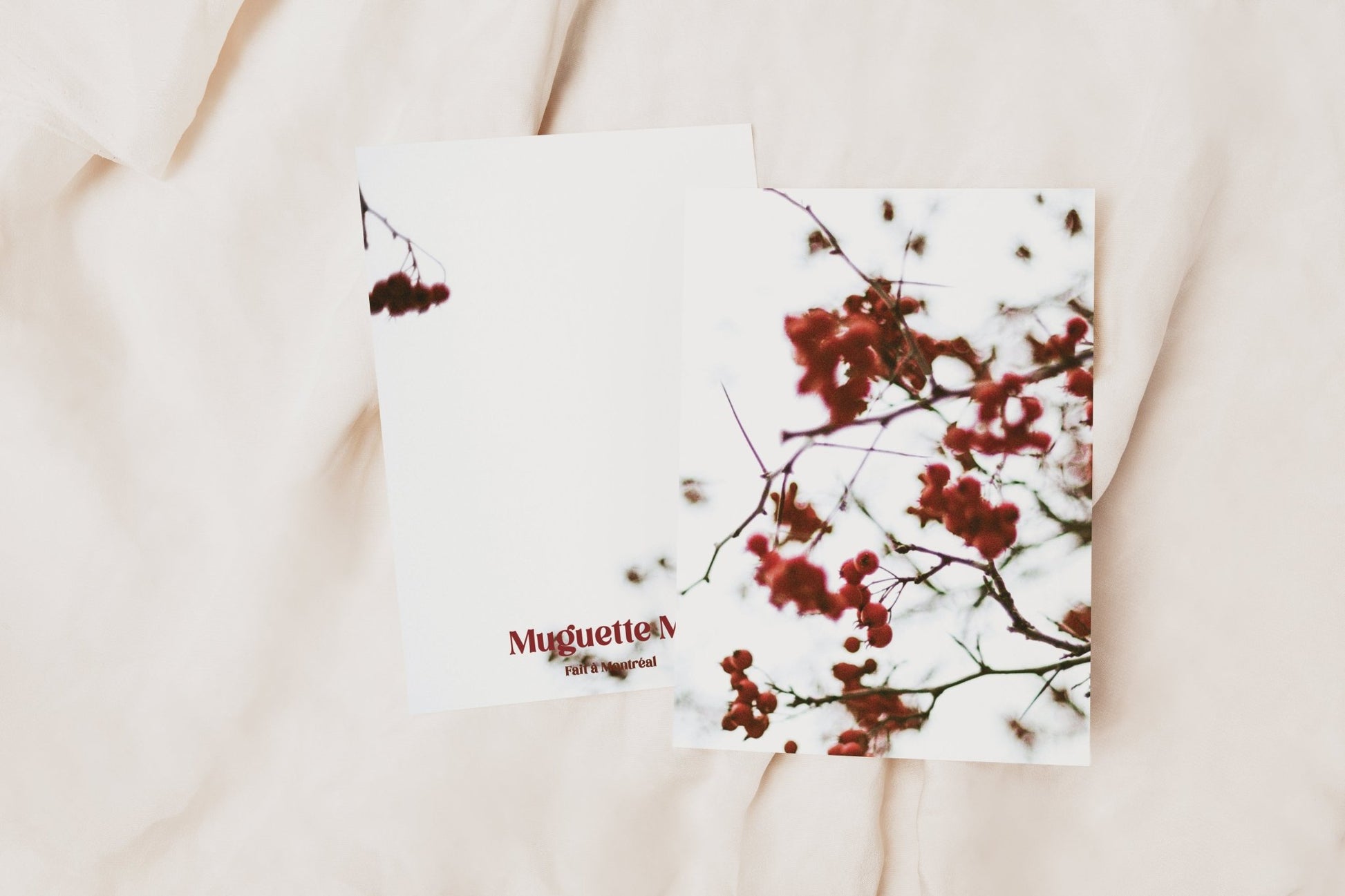 Cartes de souhaits hivernales - Alma Plantes