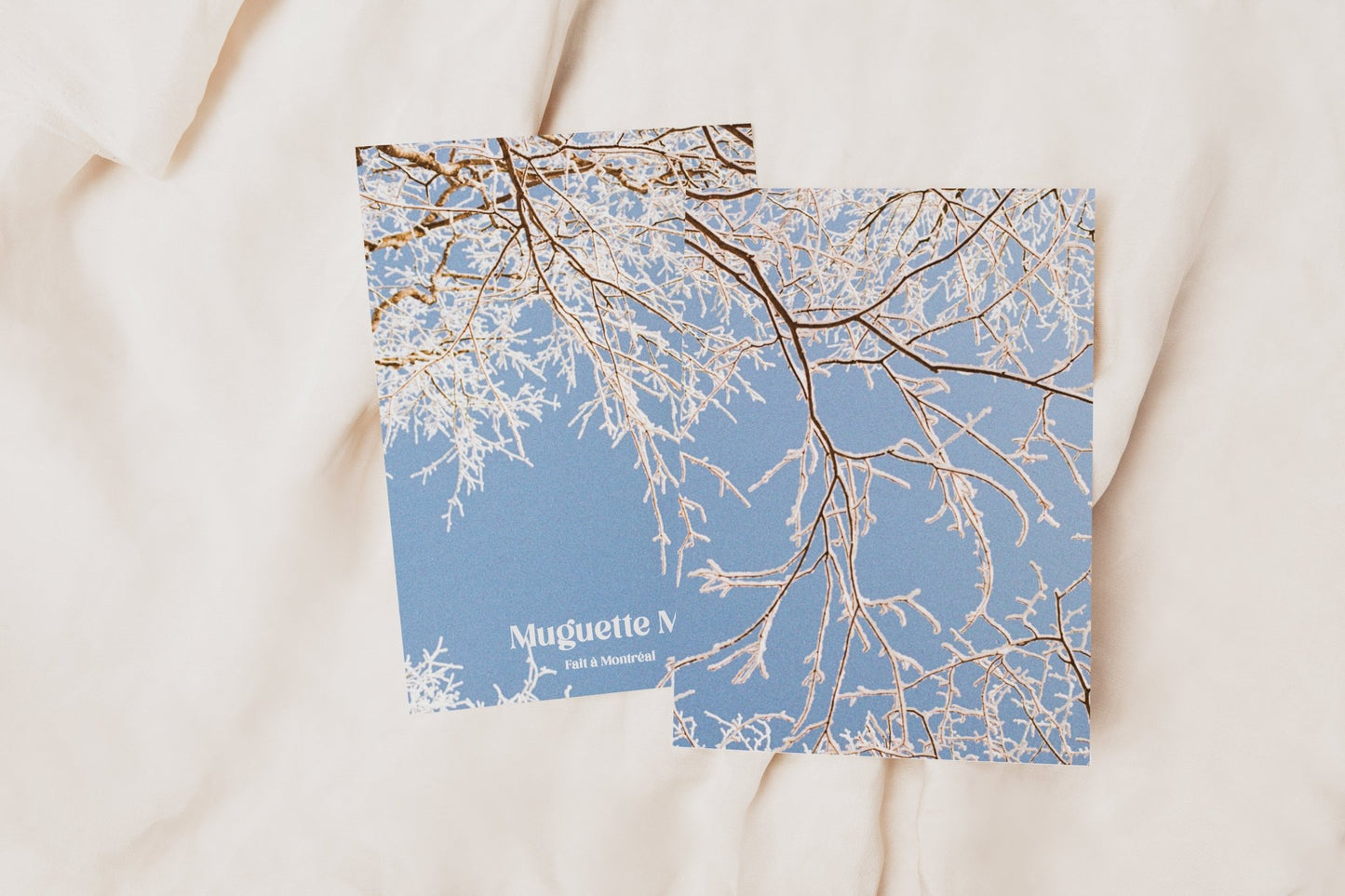 Cartes de souhaits hivernales - Alma Plantes