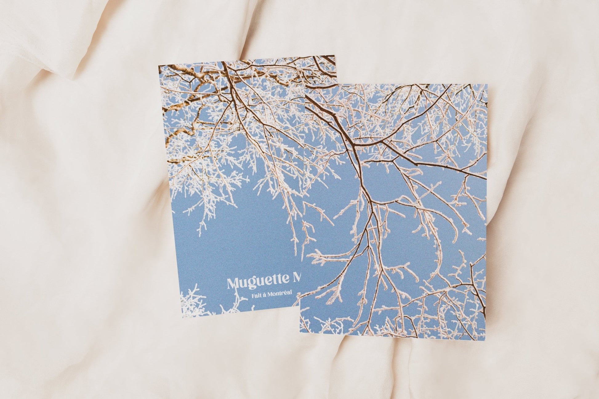 Cartes de souhaits hivernales - Alma Plantes