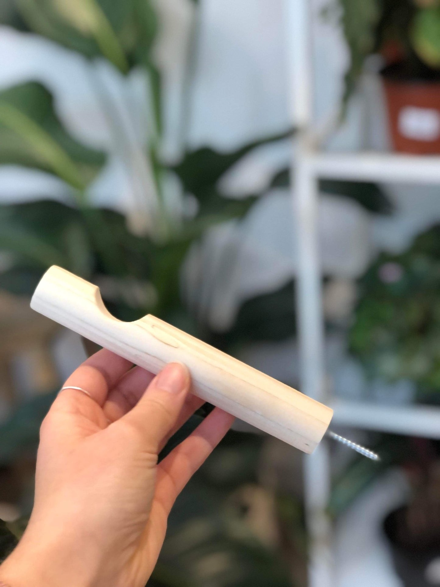 Crochet bois - Alma Plantes