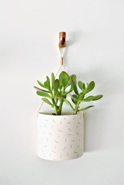 Demi - lune murale - Alma Plantes