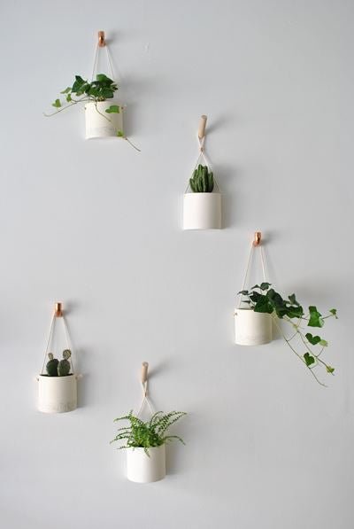 Demi - lune murale - Alma Plantes