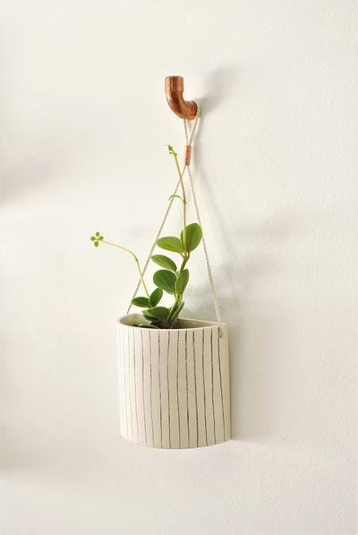 Demi - lune murale - Alma Plantes